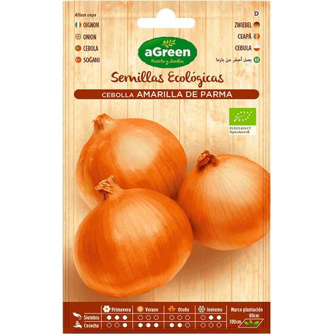 Sachet de graines d'oignon jaune eco Parma Agreen (1/3)