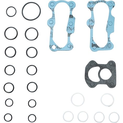 Set guarnizioni pompa idraulica per MAssey Ferguson codice OEM 1810680M93, 1810680M92