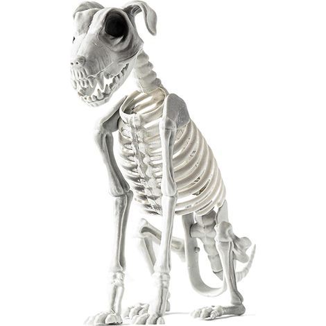 Décoration de squelette pour chien - Décoration d'Halloween - Squelette de (1/5)