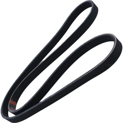 CINGHIA POLARE PK 5PK1255 (1/2)