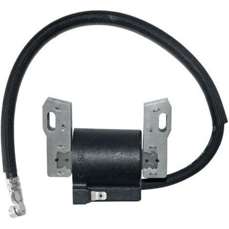 Bobine d'allumage Briggs Stratton 591420 398593 496914 793281 792395 pour tondeuse Poulan Murray Troy Bilt Craftsman MTD (1/4)