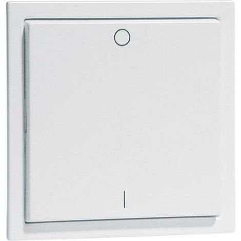 Peha Wandsender rws 2 Kanal D 20.450.02 FU-BLS