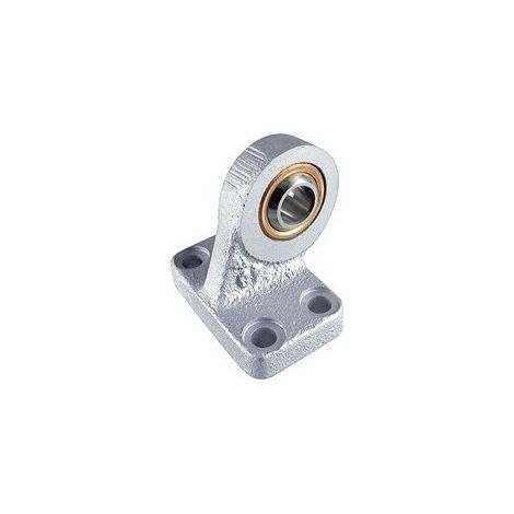 Imi norgren M/P40315 Rear fixing male ball joint Ø100mm