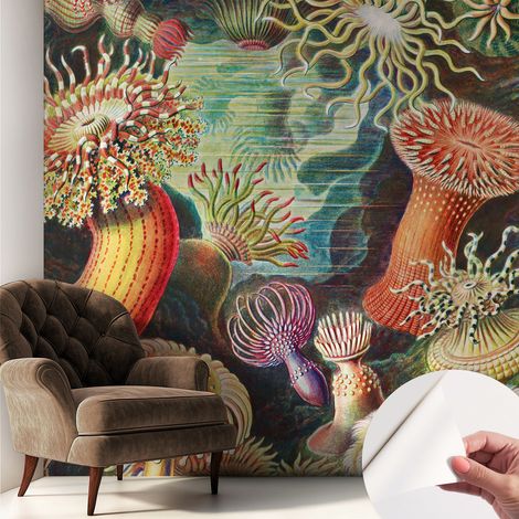 Carta da parati adesiva - lavabile - decorazione murale - per cucina - pellicola decorativa Anemoni fantastici 250x250 cm (1/5)