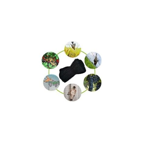 Rete per uccelli, 4 m x 10 m, rete di protezione per uccelli, rete per alberi da frutto, rete nera per uccelli, protegge alberi da frutto e ortaggi dai danni - Crezuo