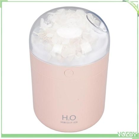 Humidificateur à fleurs éternelles - FAFEICY - 500ML - USB - 2W - Lumière colorée (1/5)