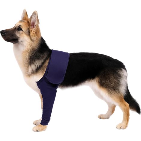 Manchon Anti-léchage pour Chien avec Autocollants pour la Récupération des Blessures Chien Blessé et Endommagé XL Jean Bleu (1/5)