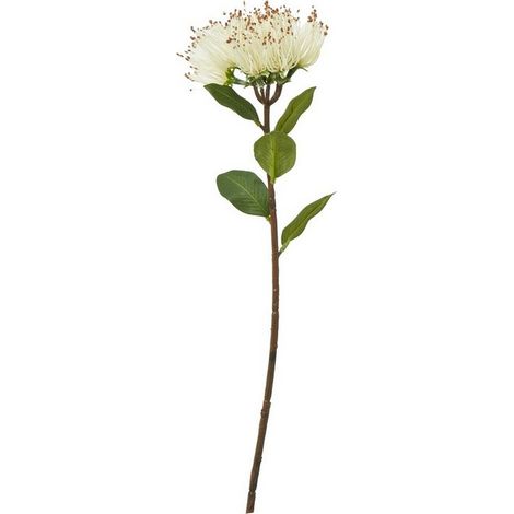 Protea Nitida (Single Stem Flower) - Plastic - Height 45 cm - Cream