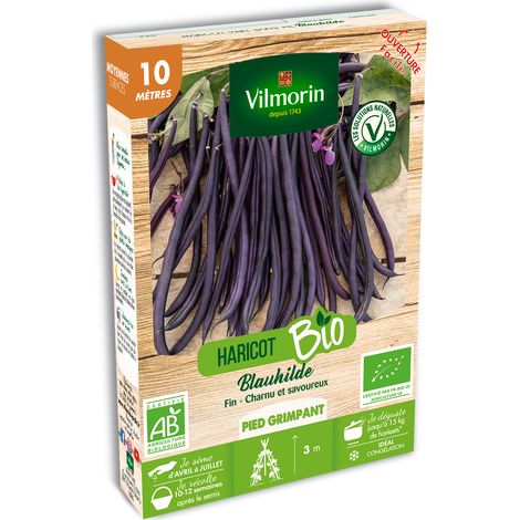 Haricot Blauhilde - BIO Vilmorin (1/2)