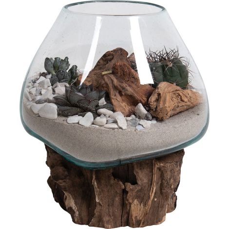 Terrario San Marino in vetro a cupola su base in radice di teak 18x20 cm (1/5)