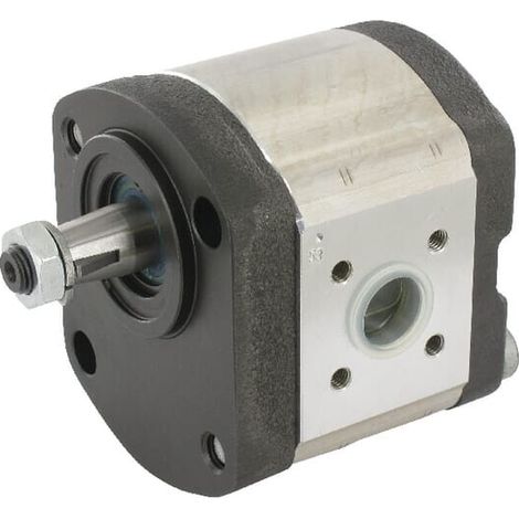 Pompa ad ingranaggi AZPF-11-008LCN20MB-S0685 Bosch Rexroth BOSCH REXROTH 0510415311 (1/2)