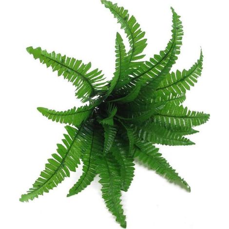 Simulazione di felce, erba verde, grandi foglie, foglie di piante artificiali