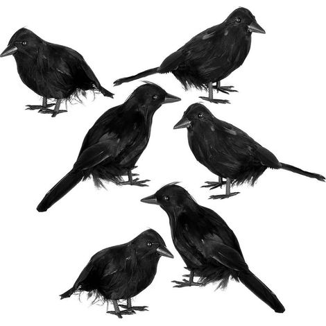 Kits de décorations d'Halloween en forme de corbeau : décorations pour arbres, murs et fenêtres, décorations intérieures et extérieures pour fêtes d'Halloween, décorations pour maisons hantées (1/5)