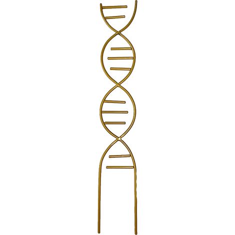 1 support pour plantes grimpantes, métal, 44 × 8,8 × 8,8 cm, or, pour intérieur et poterie (1/5)