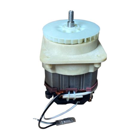 Ersatzmotor Elektromotor 230V 50Hz 1800W Motor für Rasenmäher uvm. (1/4)