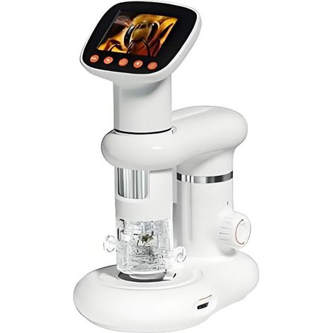 50x-1000x Microscope pour Enfants Adultes, D-MS1 Portable Petit Scope pour Enfants Etudiants Ecole Minilabsters Education, Possibilité de Connexion à Un PC (1/5)