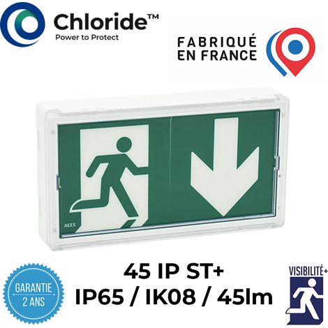 Bloc autonome d'éclairage de sécurité LED IP65 – Autonomie 1h – Flux lumineux 45lm – Pour chantiers humides