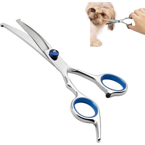 Tijeras de peluquería profesionales de acero inoxidable para perros y gatos – Puntas de seguridad redondeadas – Tijeras curvas para zonas sensibles (1/5)