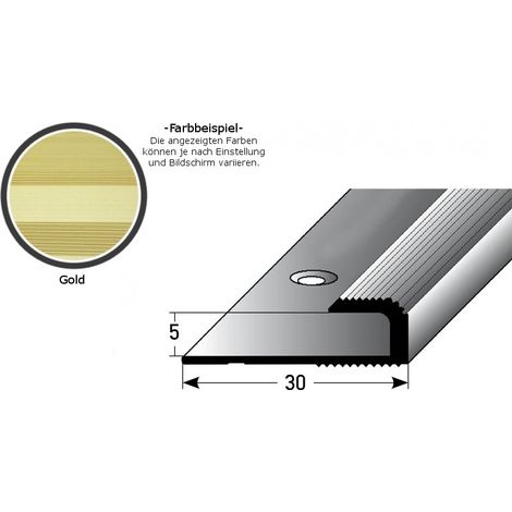 Einschubprofil "Cavan" für Laminat, 5 mm Einfasshöhe, Aluminium eloxiert, gebohrt-goldfarbig-1000
