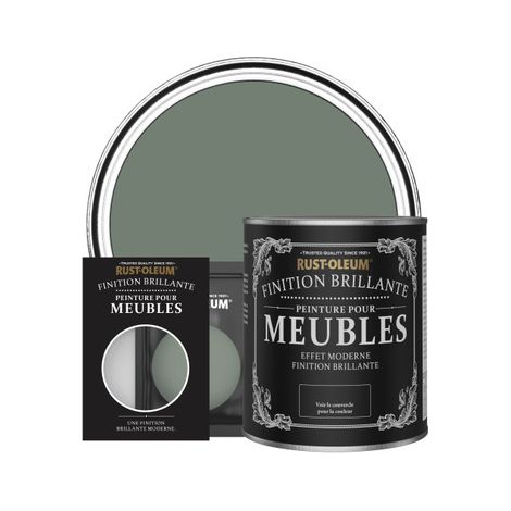 Peinture pour Meubles Brillante - Sérénité (1/3)