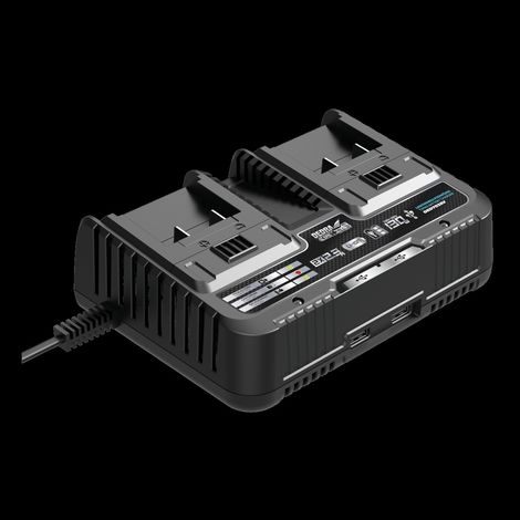 Dedra SASALL DED7038V Cargador doble para baterías 20V (1/5)
