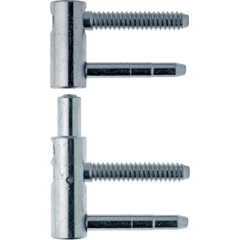 Fiche pour meuble D16 Bichr M/F – Hauteur ajustable – Finition en bois dur – Mécanisme de fleuriste pour usage professionnel