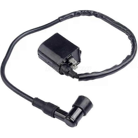 Module de bobine d'allumage 33410-41D20 compatible avec LT-A400, Eiger 400, LTA400F, King Quad, ATV 400 (1/5)