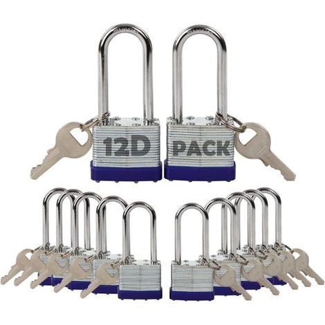 Lot de 12 Cadenas à Clé Identique Acier Laminé Antirouille 40mm pour Casier Clôture Portail (1/4)