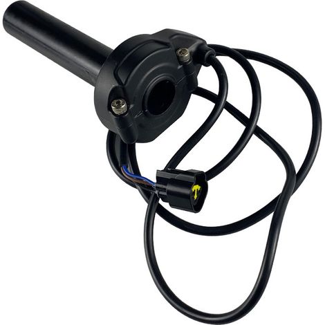 Direct sales in North America of light off-road vehicles, including the Bee model with electronic throttle and Hall effect throttle. (1/5)