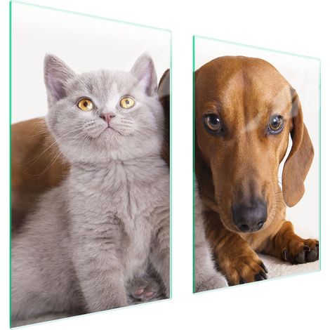 Assiette de protection en verre POUR la cuisine 65x52 animaux (1/5)