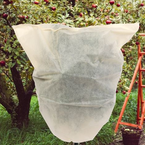 Lot de 3 sacs de protection pour plantes, arbres, fleurs et arbustes de jardin : protection solaire et antigel. (1/5)