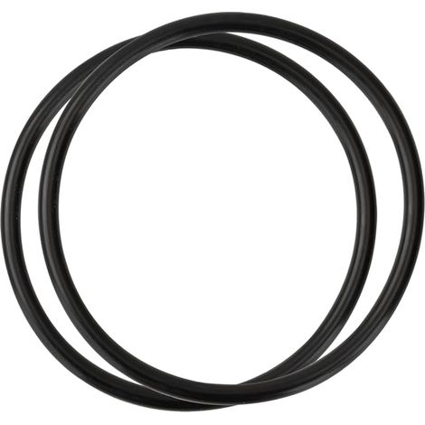 R172009 Rubber O-Ring Gasket for Pentair Chlorinator Cover Model 320/322 for Pool and Spa (1/2)