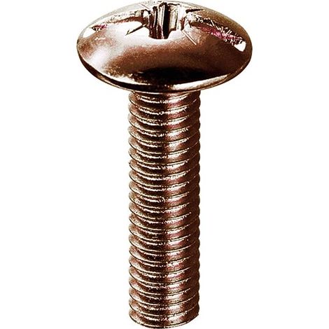 Viti testa bombata - M6 x 25 mm. - ferro brunito - 8 pz.