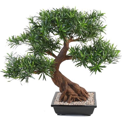 Bonsaï Podocarpus Artificiel H 80 cm D 78 cm en pot - dimhaut: H 80 cm - couleur: Vert (1/2)