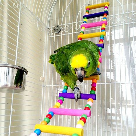 Jouets pour perroquets, échelles, balançoires, jouets à mâcher suspendus, accessoires pour cages à oiseaux, hamacs pour perruches ondulées miniatures, calopsittes, inséparables, conures, aras et pigeo (1/5)