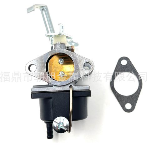 Vergaser kompatibel mit Tecumseh 640221 5156 OV691EA TVT691 Schneefräse (1/5)