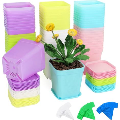 60 Pieces Plastic Nursery Pots 7 cm Square with Trays and Labels for Plants, Flowers, Vegetables – Multi-Color (1/5)
