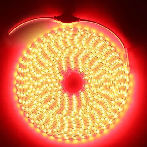Bande LED rouge de 1 mètre, 220 V CA, flexible et étanche. (1/5)
