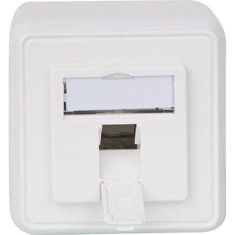 Insert moduel 80x80, 2 casiers en saille blanc alpin, 1 piece BG (1/3)