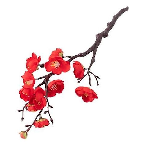 Fleurs artificielles colorées à plusieurs branches, magnifiques, pour la décoration intérieure. Fournitures factices.rouge (1/5)