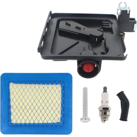 792040 base primaire de filtre à air Briggs & Stratton 795259 691753 496116 Quantum Motor Series 120000 (1/5)