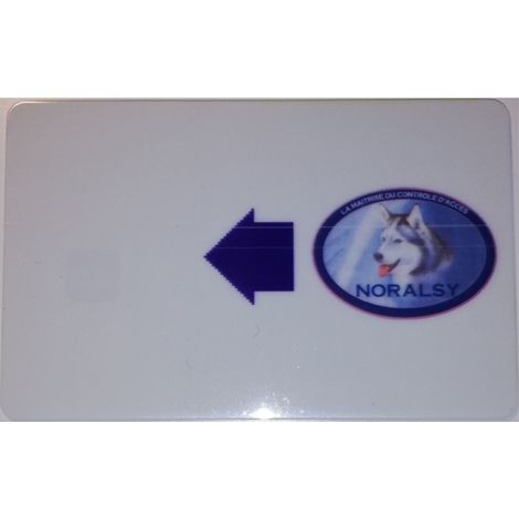 Noralsy KBM05 Carte à puce 256 Ko 12C - pour centrale ECP