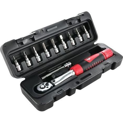 Gioco Di Chiavi da Coppia di torsione 1/4" 2-24 Nm di Coppia chiave Regolabile Chiave di Torsione Per la Bici da Strada, Parola, Moto(11pcs-Rosso) (1/5)