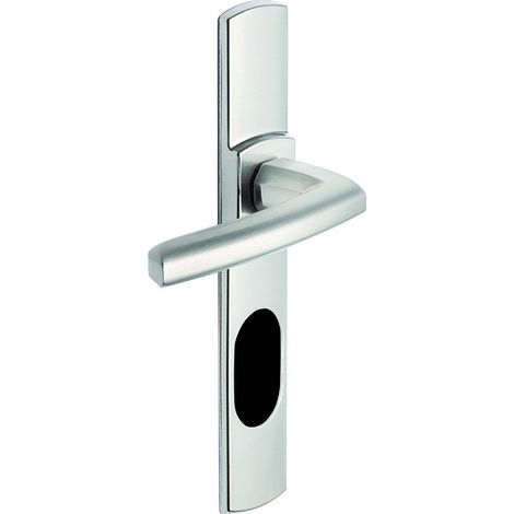 Ensemble de poignée ”Scult” sur plaque - BEZAULT - Platine - Plaque 215 x 41 mm - entraxe de fixation 195 mm - Clé I avec trou oblong pour protecteur de cylindre (1/2)
