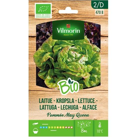 Vilmorin Garden Bio -Samen des Salat Mai Knigin auf 2 Gr