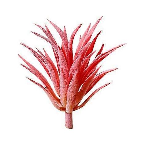 plante succulente artificielle à monter soi-même, réaliste, pour jardin, bureau, maison, décoration bonsaïrouge (1/5)