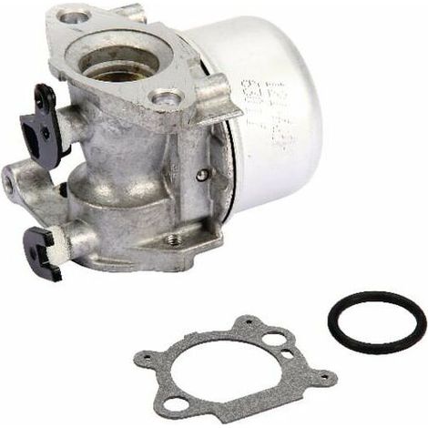 Carburateur BRIGGS ET STRATTON 799866 (1/5)