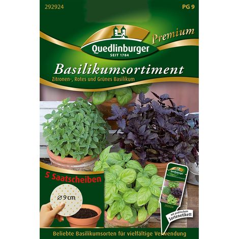 Quedlinburger Saatgut – Basilic assortiment – Disques de semis, graines d'herbes aromatiques, 3 variétés, 5 pots (1/2)