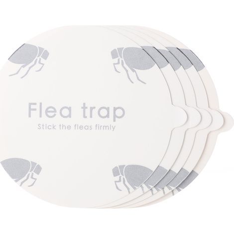Ersatz-Klebescheiben – Flohfalle – 18 cm – Für Innenfallen – 5er-Pack (1/5)