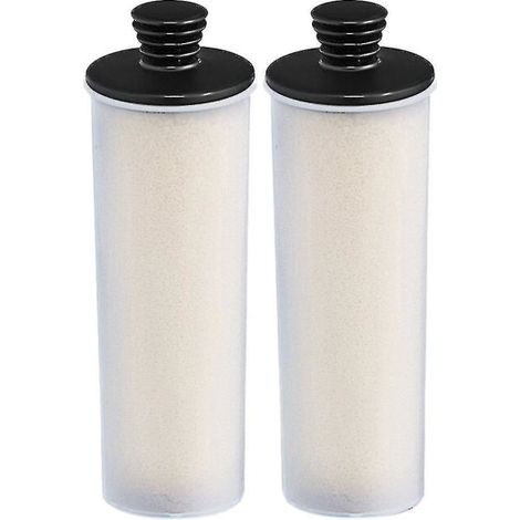 Filiyano-Bâtonnet de détartrage pour PC SC3 série 3 Easyfix/SC3MX/SC3 127V BR avec filtre de détartrage (1/5)
